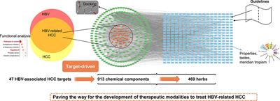 A systematic study of traditional Chinese medicine treating hepatitis B virus-related hepatocellular carcinoma based on target-driven reverse network pharmacology